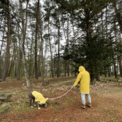 黄色の雨ガッパ
