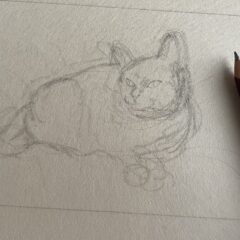 子供の旅立ちと、本格始動