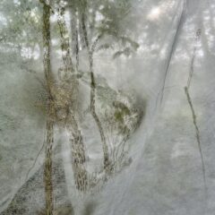 揺れる不織布の中で