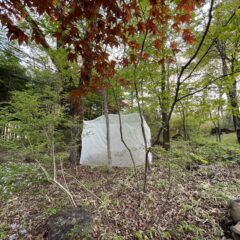 制作開始〜不織布〜