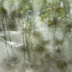 続き、そして続く