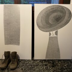 フェキサチフを吹きかける