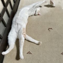 やる気がない時は