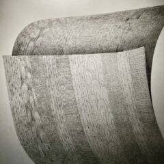 習作であり作品であり