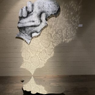 疑う 信じる 握っている